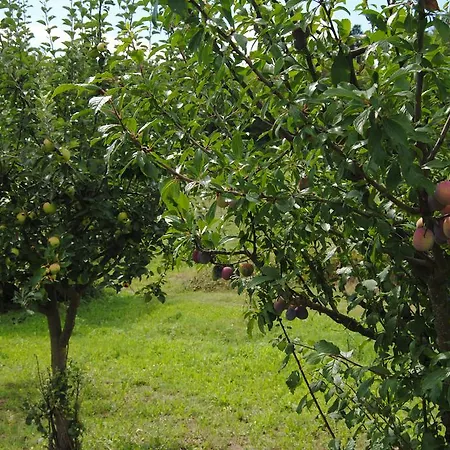 Farma La Chiusuraccia