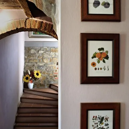 La Chiusuraccia Barberino di Mugello