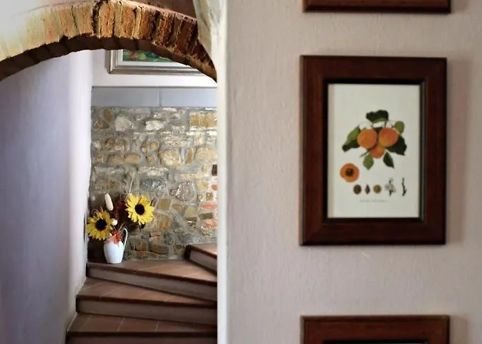 初休拉西亚农家乐 巴贝里诺·迪·穆杰罗